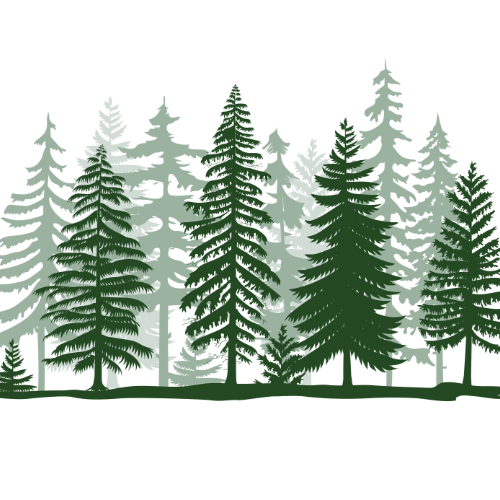 trovaunposto pianta alberi